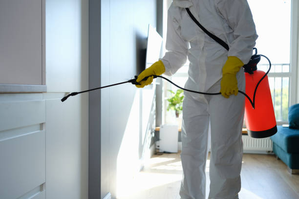 Best Toxic Mold Removal  in Browns Mills, NJ