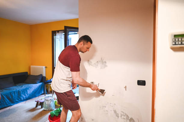 Best Fast Mold Removal  in Browns Mills, NJ